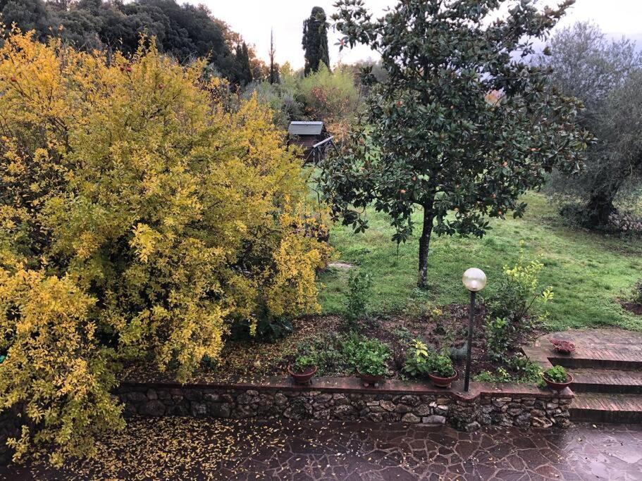 La Vigna Agriturismo Villa Siena Luaran gambar