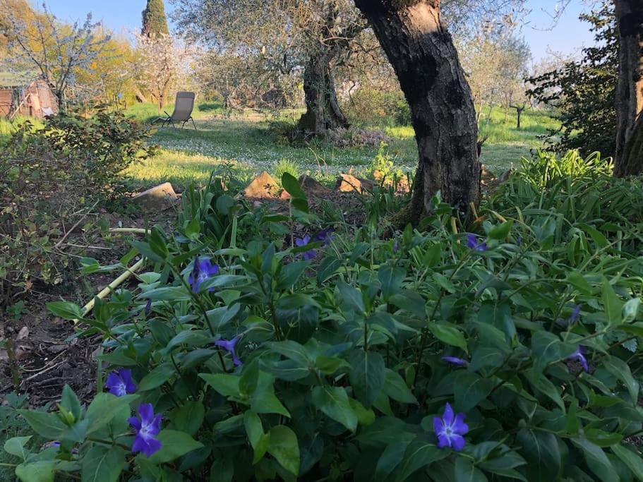 La Vigna Agriturismo Villa Siena Luaran gambar