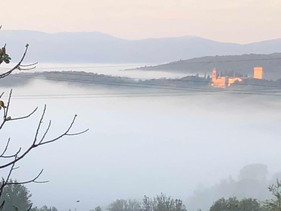La Vigna Agriturismo Villa Siena Luaran gambar