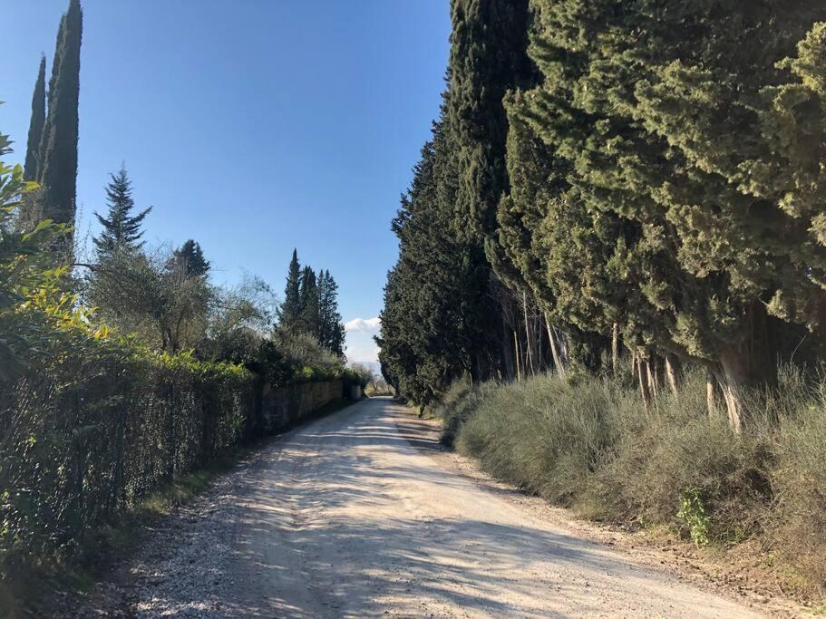 La Vigna Agriturismo Villa Siena Luaran gambar