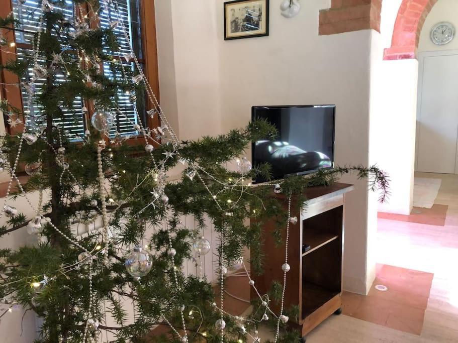 La Vigna Agriturismo Villa Siena Luaran gambar