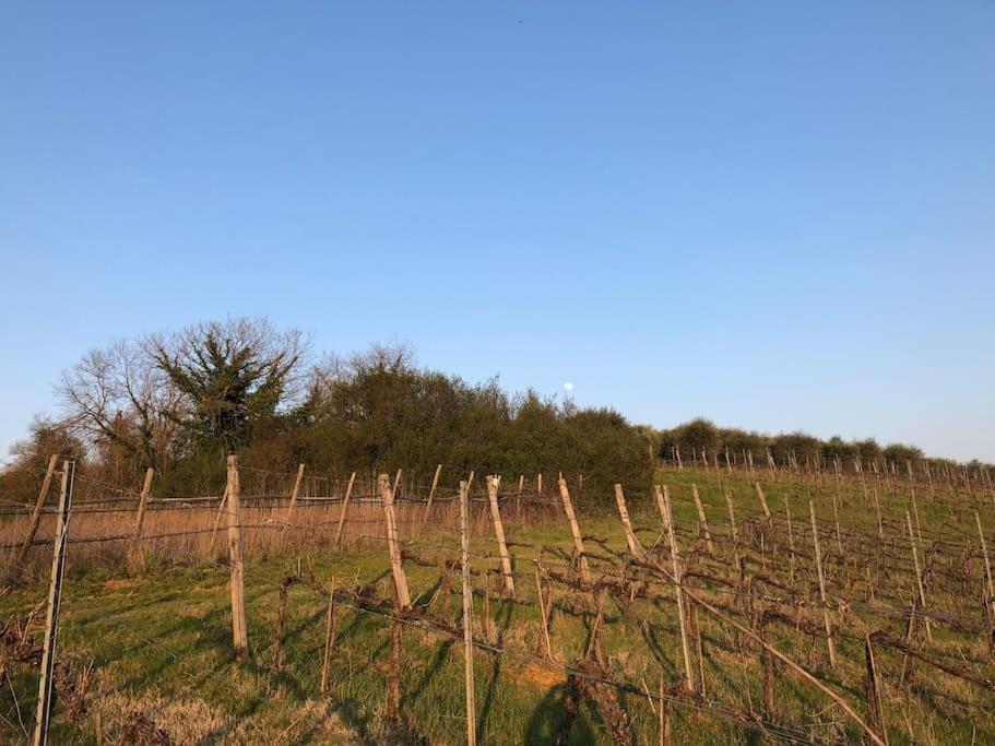La Vigna Agriturismo Villa Siena Luaran gambar
