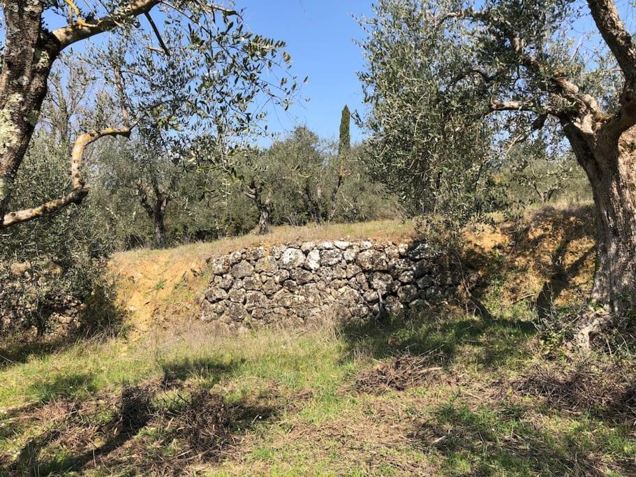 La Vigna Agriturismo Villa Siena Luaran gambar