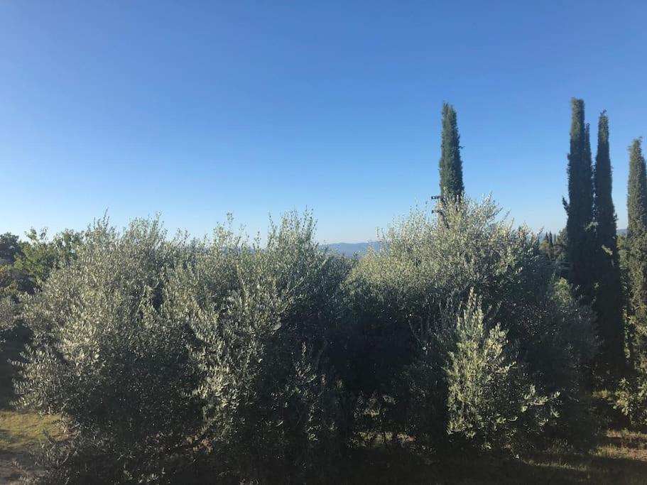 La Vigna Agriturismo Villa Siena Luaran gambar