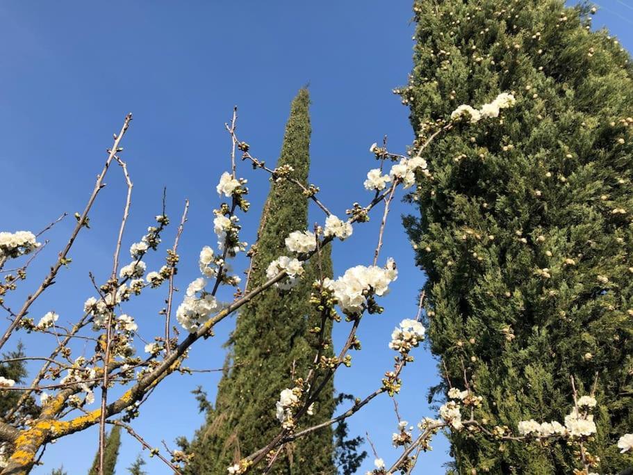 La Vigna Agriturismo Villa Siena Luaran gambar