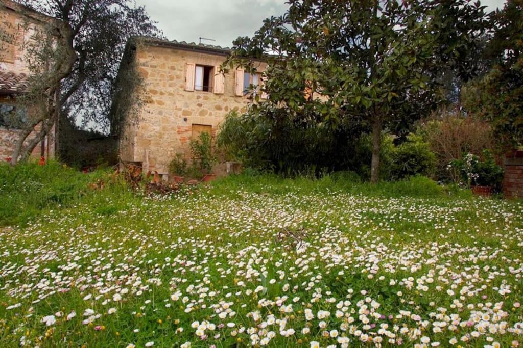 La Vigna Agriturismo Villa Siena Luaran gambar
